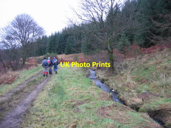 Photo 6"x4" Swineshaw Burn and Forest Track Fletchlaw Burn c2009
