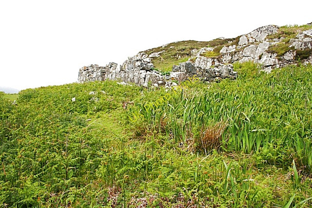 Photo 6"x4" Ruin by Loch Aineort Taobh a Tuath Loch Aineort c2009
