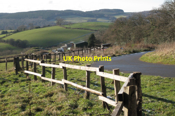 Photo 6"x4" Private road to Embercombe Higher Ashton c2010