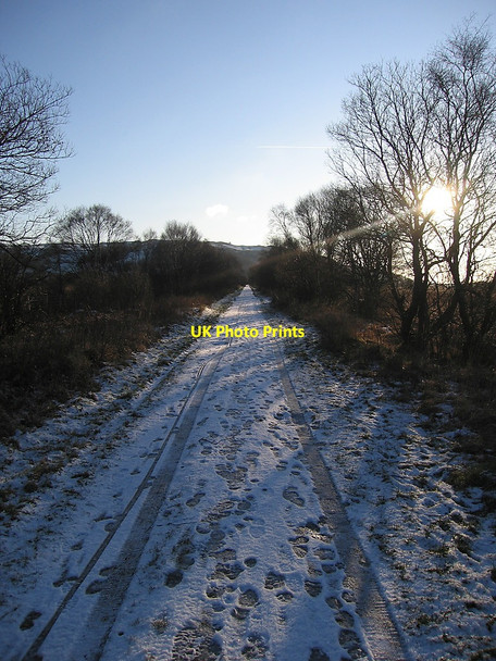 Photo 6"x4" Ystwyth Trail, Cors Caron Nature Reserve Swyddffynnon c2010