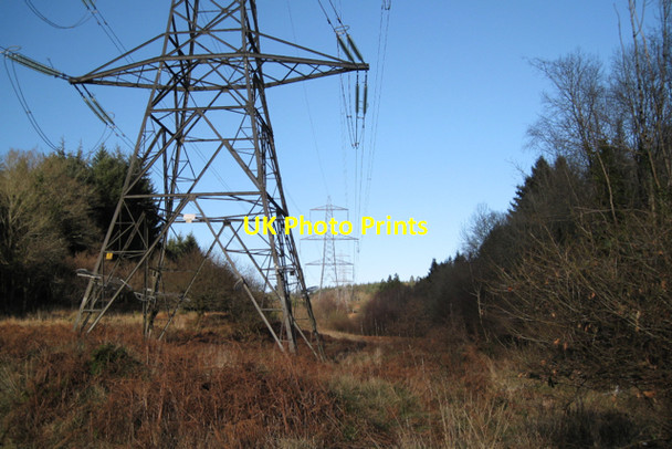 Photo 6"x4" Power lines through Kiddens Plantation Underdown\/SX8885 c2010
