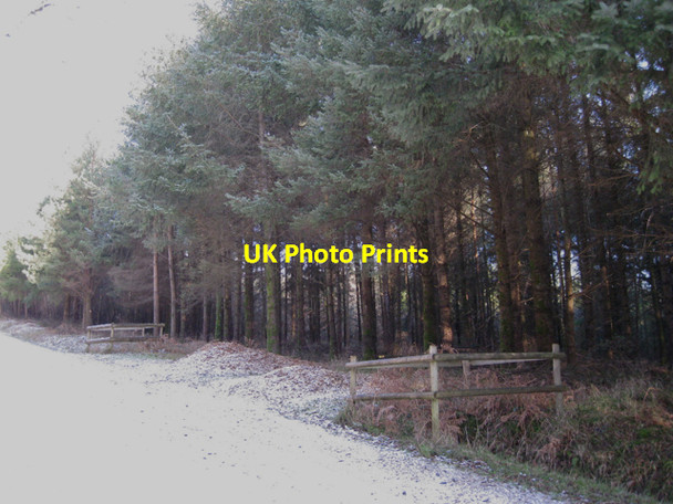 Photo 6"x4" Access across a ditch, Kiddens Plantation Underdown\/SX8885 c2010