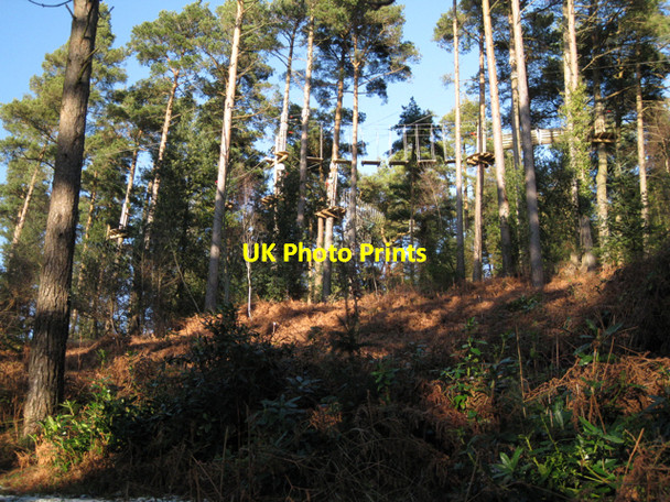 Photo 6"x4" Treetop obstacle course, Haldon Forest Park Underdown\/SX8885 c2010