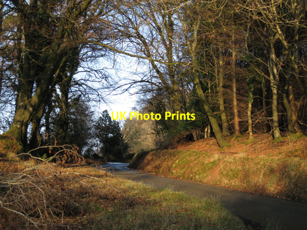 Photo 6"x4" Trusham-Dunchideock lane, Haldon Underdown\/SX8885 c2010