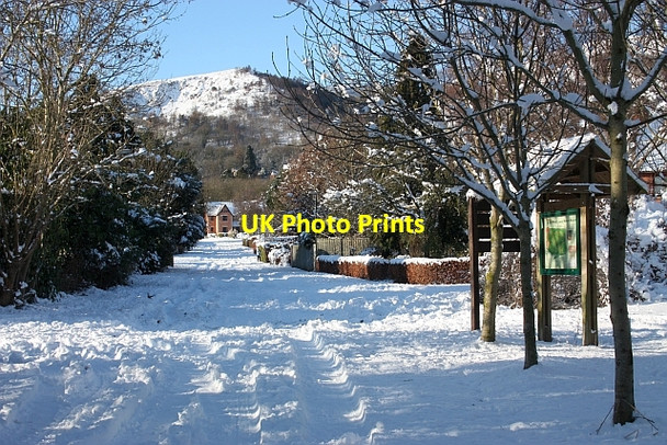 Photo 6"x4" Entrance to St Wulstan's Nature Reserve Marl Bank c2010