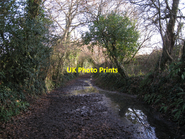 Photo 6"x4" Bridleway heading southeast from Chudleigh Knighton Chudleigh Knighton c2010