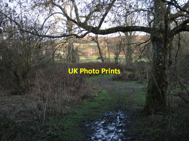 Photo 6"x4" Hennock bridleway 22 approaches the River Teign Chudleigh Knighton c2010