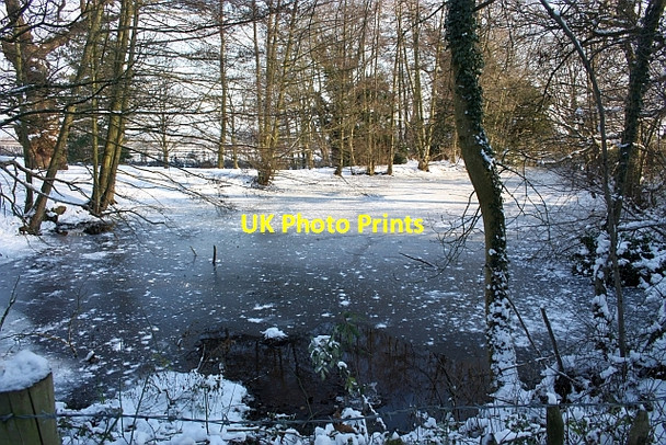 Photo 6"x4" Pond in the grounds Little Malvern Court Little Malvern c2010