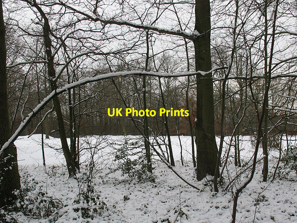 Photo 6"x4" Top of Sundridge Park golf course Bromley\/TQ4069 c2010