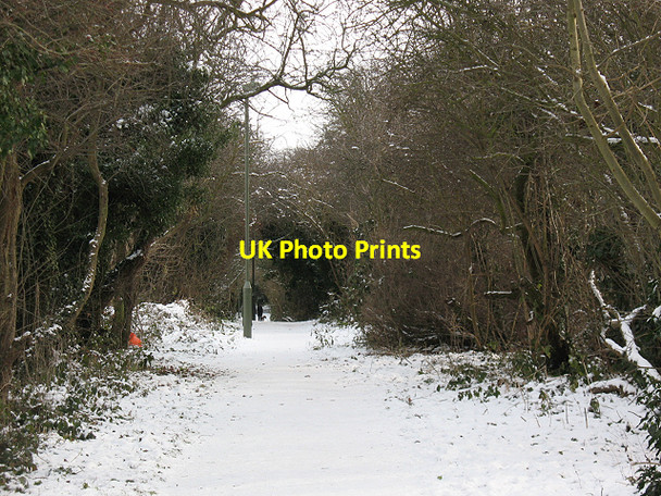 Photo 6"x4" Footpath from Elmstead to Chislehurst Bromley\/TQ4069 c2010