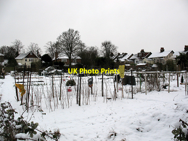 Photo 6"x4" Allotments near Green Lane, Chislehurst Foxbury c2010