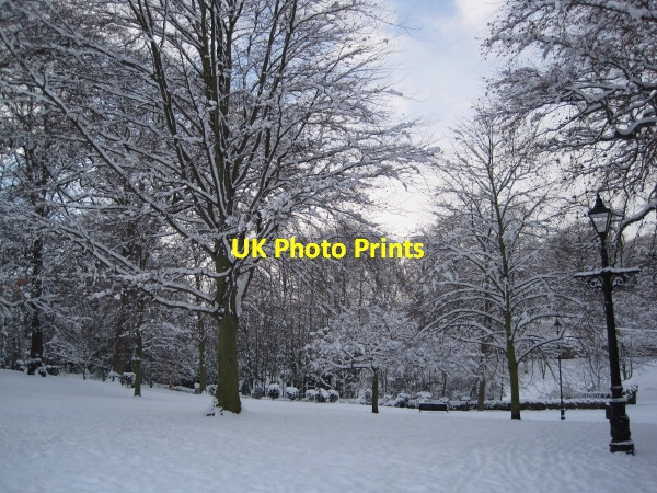 Photo 6"x4" The Seal Park, Hexham Hexham c2010