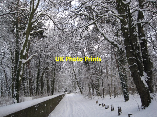Photo 6"x4" Footpath near the River Tyne at Corbridge Corbridge c2010