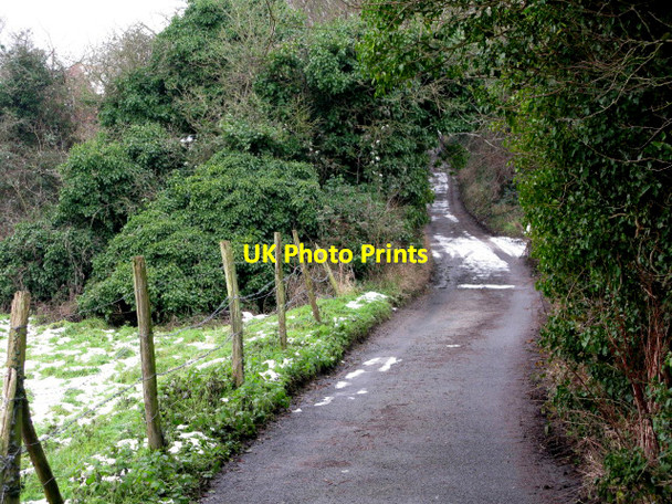 Photo 6"x4" View along the road to Parsonage Farm, Marshborough Marshborough c2010