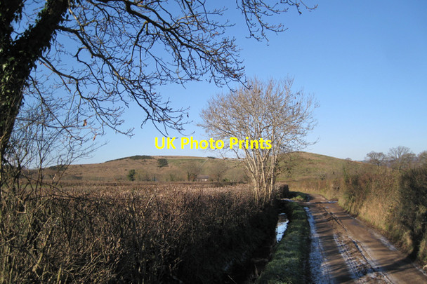 Photo 6"x4" Lane to Brocks Farm (2) Heathfield\/SX8376 c2010