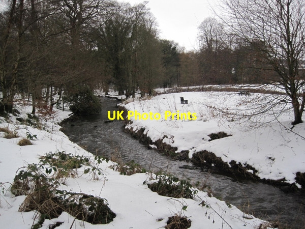 Photo 6"x4" Beamish Burn Stanley\/NZ1952 c2010