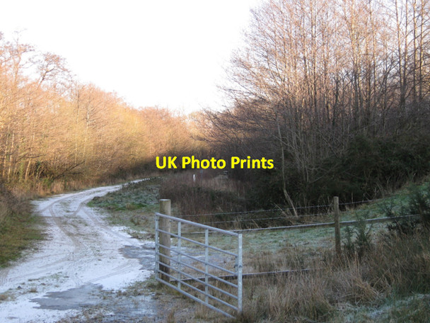 Photo 6"x4" Track along base of clay waste heap Heathfield\/SX8376 c2010