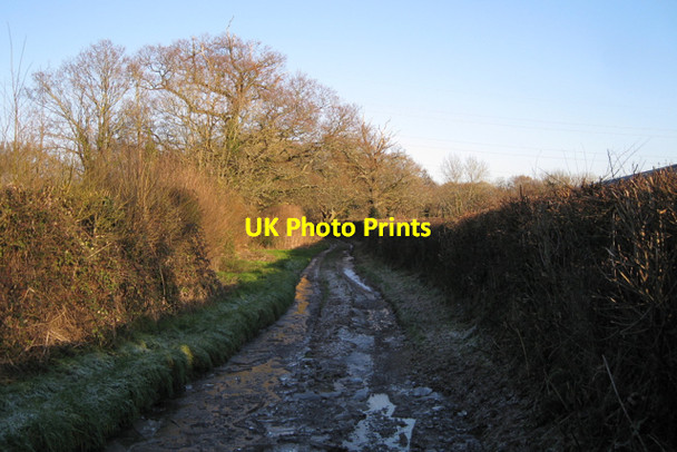 Photo 6"x4" Bridleway to Chudleigh Knighton Heath Heathfield\/SX8376 c2010