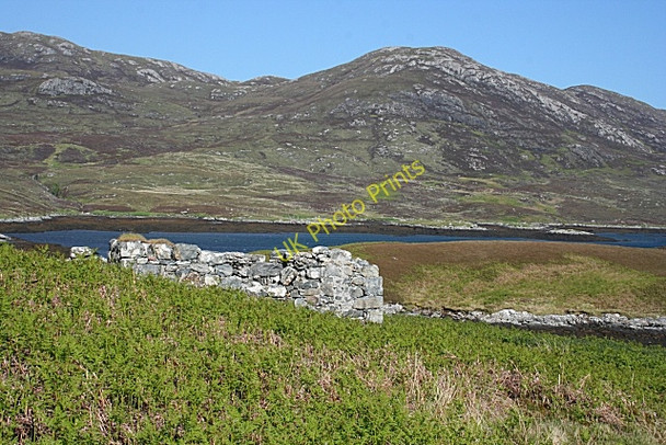 Photo 6"x4" Ruin by Loch Aineort Taobh a Tuath Loch Aineort c2009