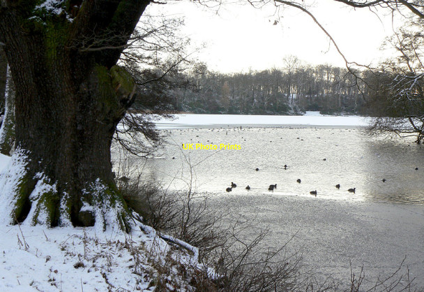 Photo 6"x4" Not much lake left Beeston\/SK5236 c2010