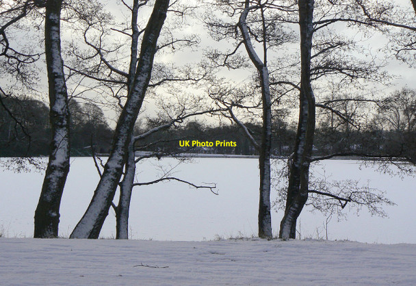 Photo 6"x4" Wollaton Park lake Beeston\/SK5236 c2010