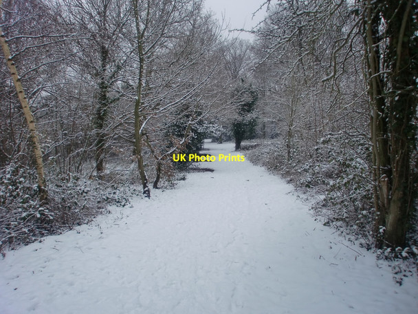 Photo 6"x4" Footpath, Oakwood Park, London N14 Southgate\/TQ3094 c2010