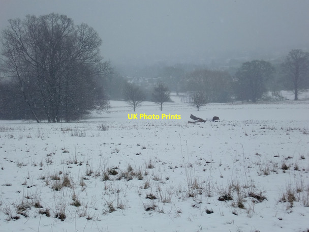 Photo 6"x4" Oakwood Park in the snow, London N14 Southgate\/TQ3094 c2010
