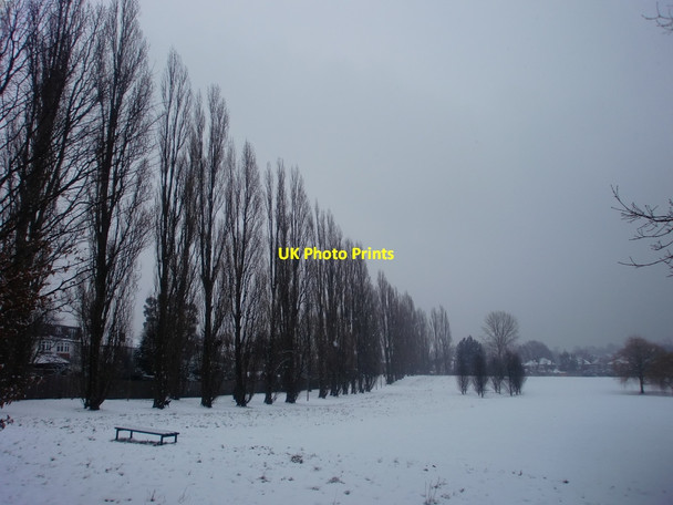 Photo 6"x4" Poplar Avenue, Oakwood Park, London N14 in the snow Southgate\/TQ3094 c2010