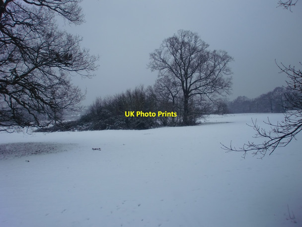 Photo 6"x4" Oakwood in the snow, London N14 Southgate\/TQ3094 c2010