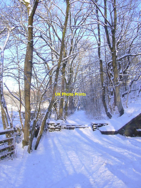 Photo 6"x4" Footpath to the River Ogden Haslingden c2010