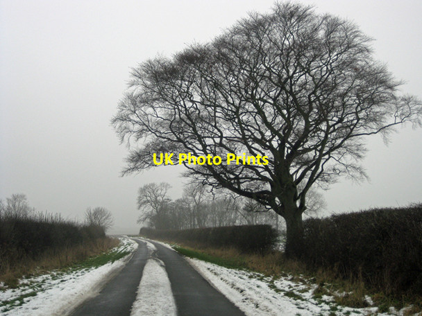 Photo 6"x4" Horkstow Road in January Horkstow Wolds c2010