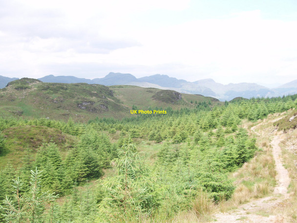 Photo 6"x4" Path north of Corran Lochan heading towards Lochgoilhead Carrick Castle c2009