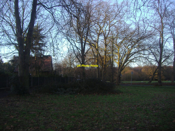 Photo 6"x4" Putney Heath Putney c2010