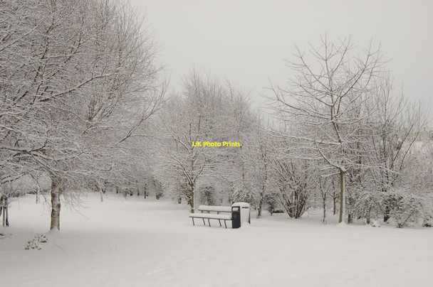 Photo 6"x4" Winter Worlds... (Dyce Community Garden) Dyce c2009