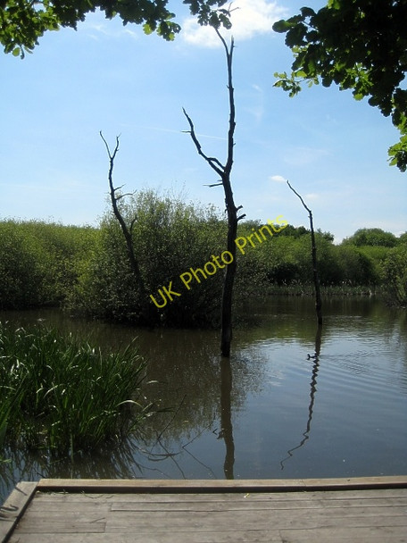 Photo 6"x4" Dead in the water! Stanley\/SE3424 c2009