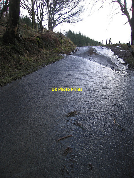 Photo 6"x4" After the Big Freeze... Strata Florida c2010