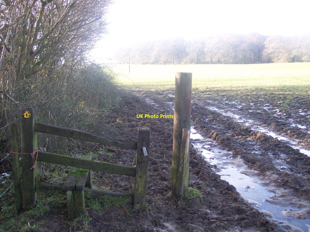 Photo 6"x4" Unused stile on the North Downs Way Horns Green c2010
