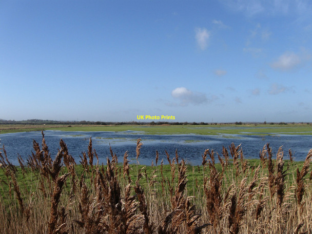 Photo 6"x4" Inner Marsh Pevensey Bay\/TQ6504 c2010