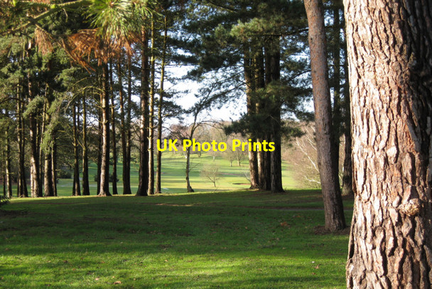 Photo 6"x4" Kenilworth golf course Kenilworth c2010
