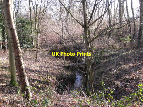 Photo 6"x4" Stream in a small wood near Crewe Farm Kenilworth c2010