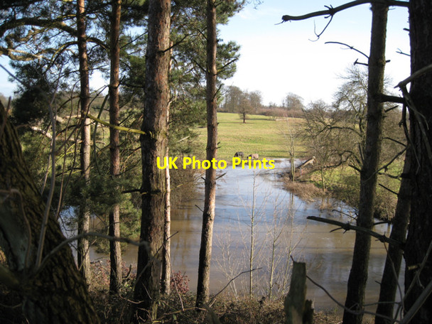 Photo 6"x4" Sowe Mouth Stoneleigh\/SP3372 c2010