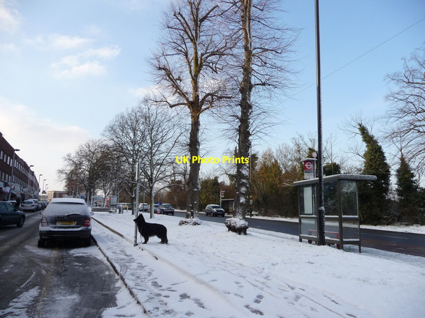 Photo 6"x4" Bramley Parade, London N14 Southgate\/TQ3094 c2009