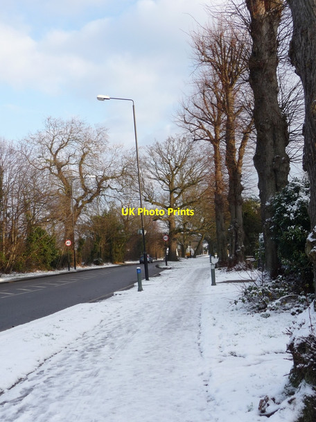 Photo 6"x4" Bramley Road, London N14 Southgate\/TQ3094 c2009