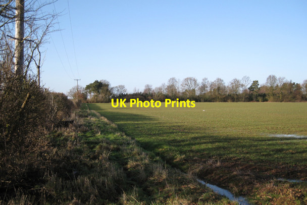 Photo 6"x4" Kings Wood Stoneleigh\/SP3372 c2010