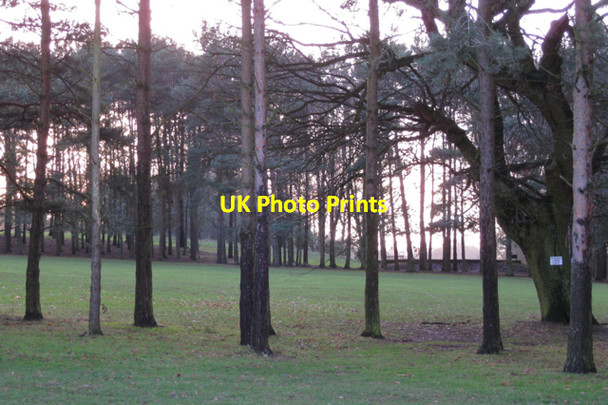 Photo 6"x4" Footpath crossing Kenilworth Golf Course Kenilworth c2010