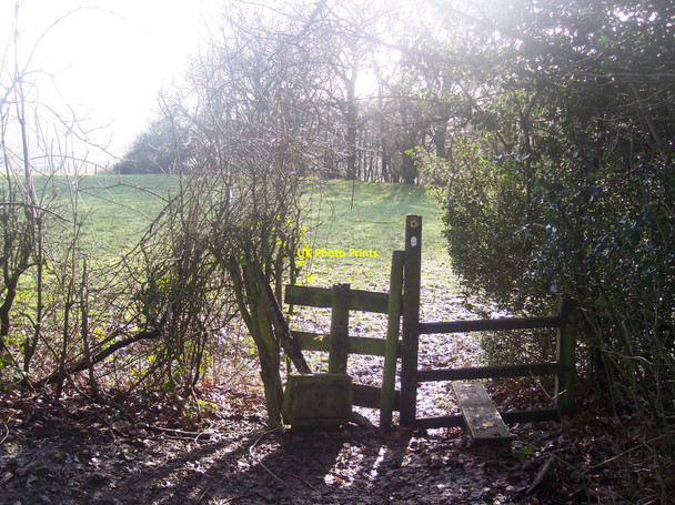 Photo 6"x4" Stile on the North Downs Way near Stoneridge Force Green c2010