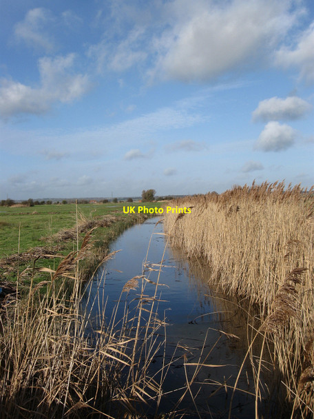 Photo 6"x4" Drain, Manxey Level Pevensey Bay\/TQ6504 c2010