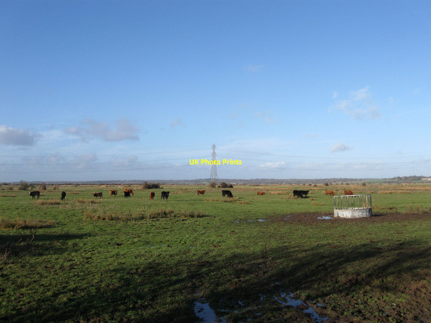 Photo 6"x4" Pound Marsh Rickney c2010