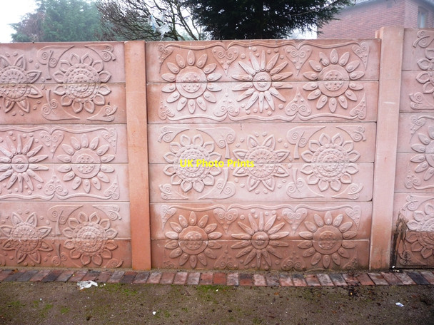 Photo 6"x4" Wall of sunflowers, between Shepley Street and Stanley Street Wakefield\/SE3320 c2010
