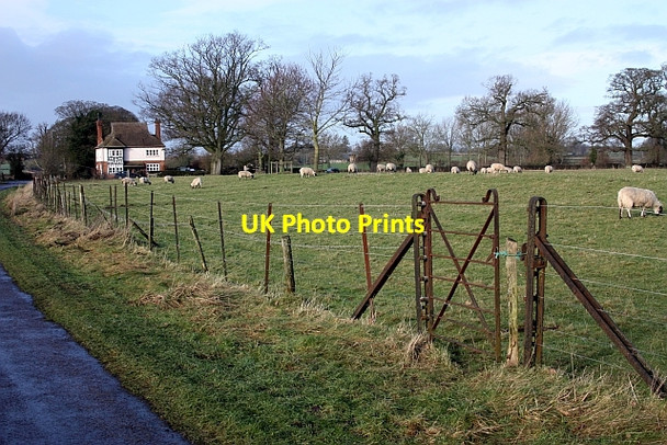 Photo 6"x4" Old gate, Forthampton Court Lower Lode c2010